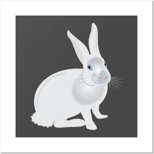 White Rabbit Posters and Art